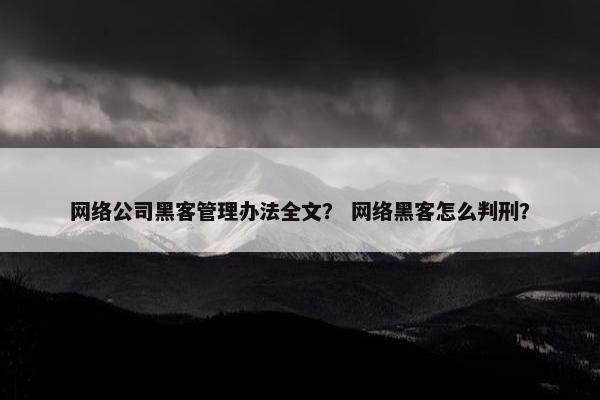 网络公司黑客管理办法全文？ 网络黑客怎么判刑？