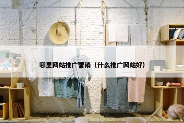哪里网站推广营销（什么推广网站好）