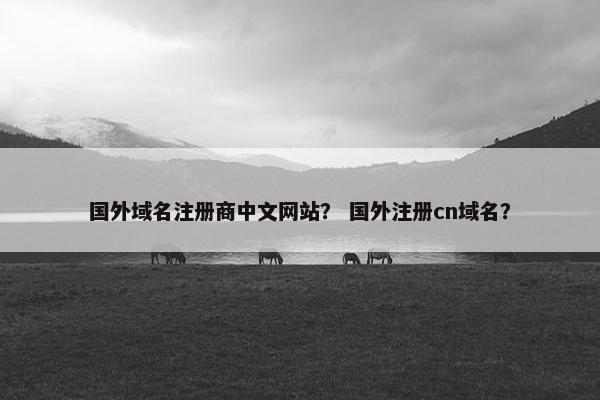 国外域名注册商中文网站？ 国外注册cn域名？