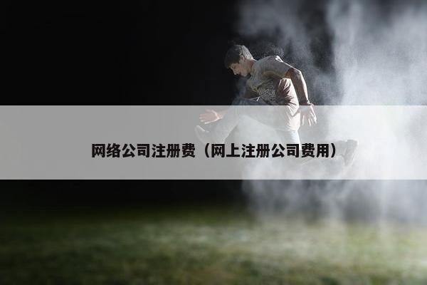 网络公司注册费（网上注册公司费用）
