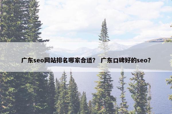 广东seo网站排名哪家合适？ 广东口碑好的seo？