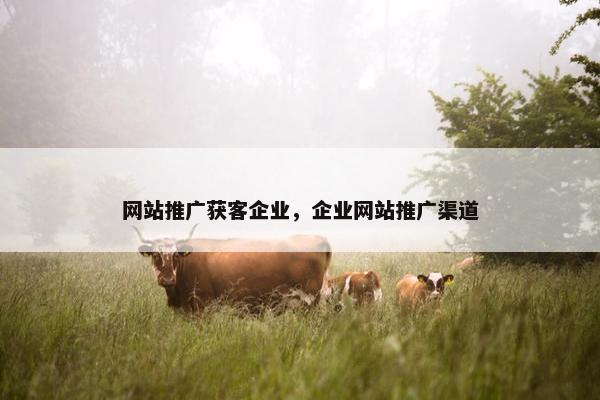 网站推广获客企业，企业网站推广渠道