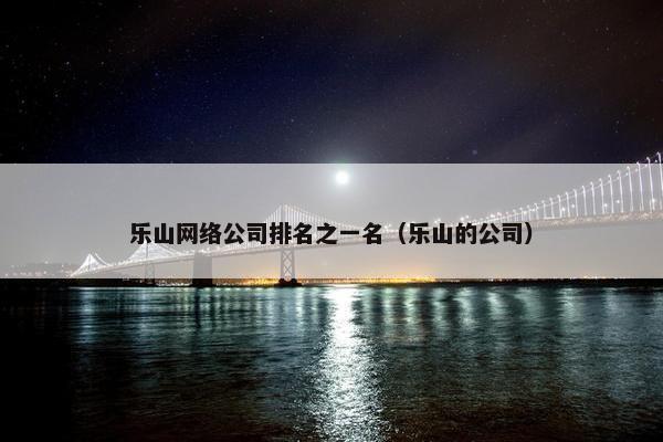 乐山网络公司排名之一名（乐山的公司）