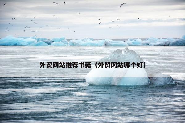 外贸网站推荐书籍（外贸网站哪个好）