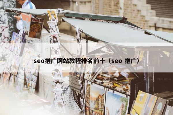 seo推广网站教程排名前十（seo 推广）