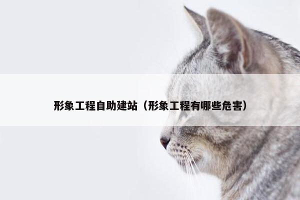 形象工程自助建站（形象工程有哪些危害）