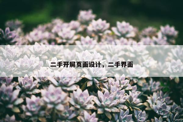 二手开屏页面设计，二手界面