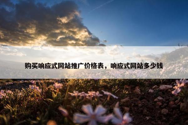 购买响应式网站推广价格表，响应式网站多少钱