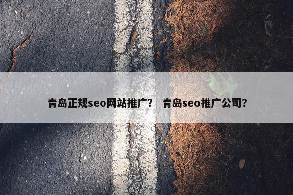 青岛正规seo网站推广？ 青岛seo推广公司？