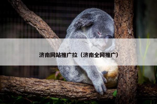 济南网站推广拉（济南全网推广）