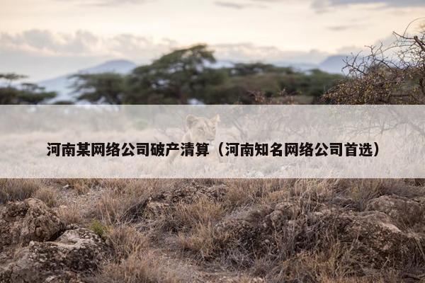 河南某网络公司破产清算（河南知名网络公司首选）