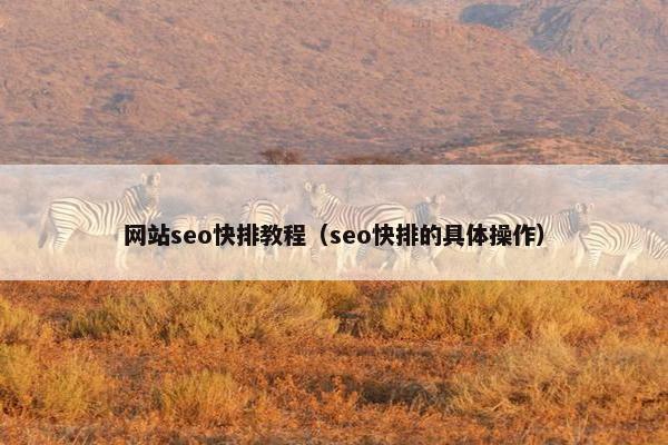 网站seo快排教程（seo快排的具体操作）