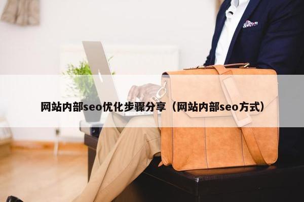 网站内部seo优化步骤分享（网站内部seo方式）