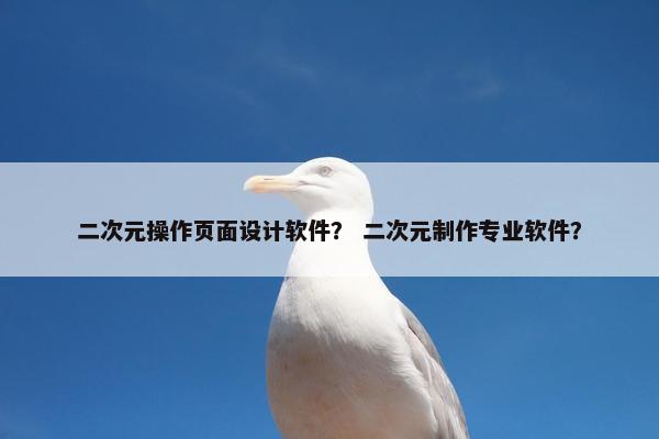 二次元操作页面设计软件？ 二次元制作专业软件？