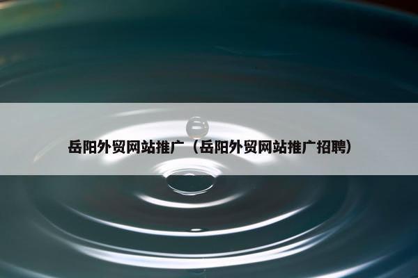 岳阳外贸网站推广（岳阳外贸网站推广招聘）