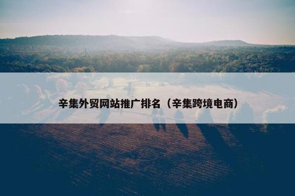辛集外贸网站推广排名（辛集跨境电商）