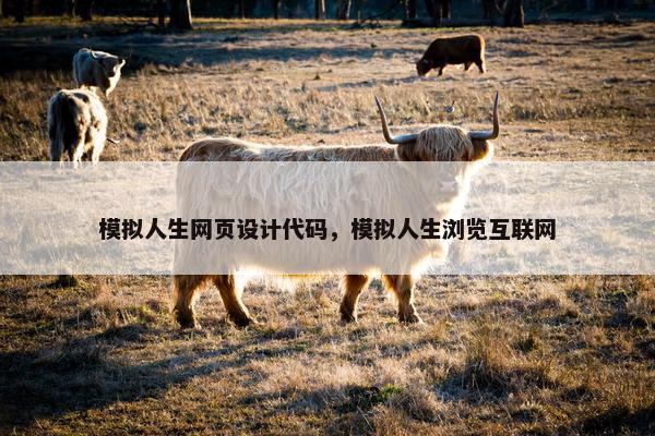 模拟人生网页设计代码，模拟人生浏览互联网