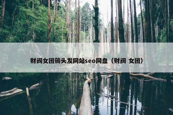 财阀女团薅头发网站seo网盘（财阀 女团）
