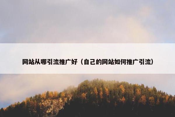 网站从哪引流推广好（自己的网站如何推广引流）