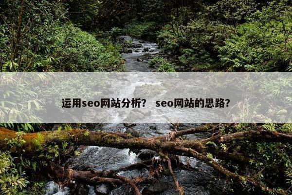 运用seo网站分析？ seo网站的思路？