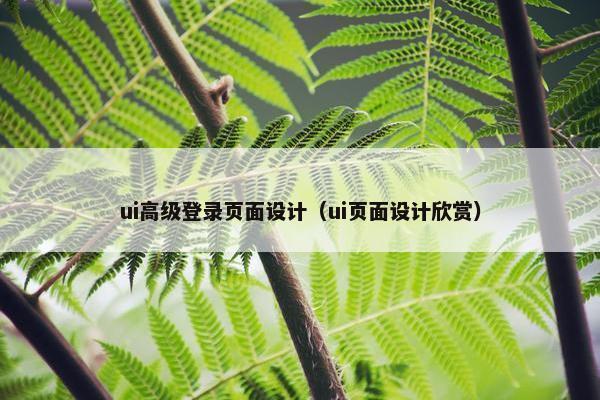 ui高级登录页面设计（ui页面设计欣赏）