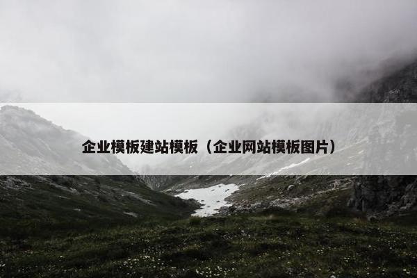 企业模板建站模板（企业网站模板图片）
