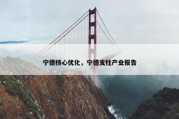 宁德核心优化，宁德支柱产业报告