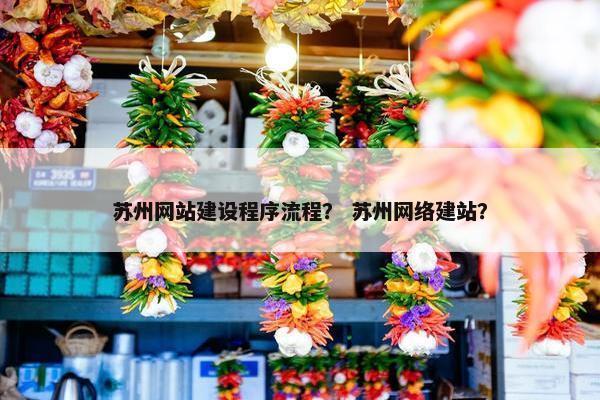苏州网站建设程序流程？ 苏州网络建站？
