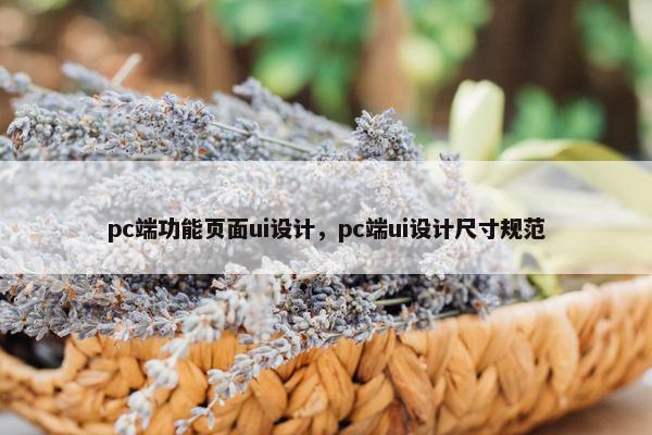 pc端功能页面ui设计，pc端ui设计尺寸规范