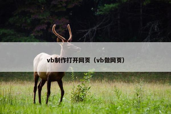 vb制作打开网页（vb做网页）