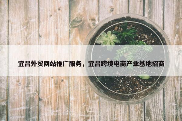 宜昌外贸网站推广服务，宜昌跨境电商产业基地招商