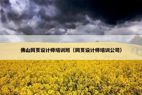 佛山网页设计师培训班（网页设计师培训公司）