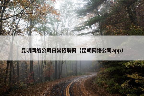 昆明网络公司日常招聘网（昆明网络公司app）