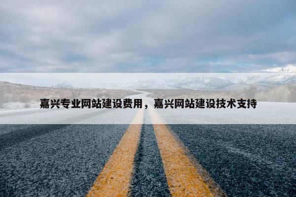 嘉兴专业网站建设费用，嘉兴网站建设技术支持