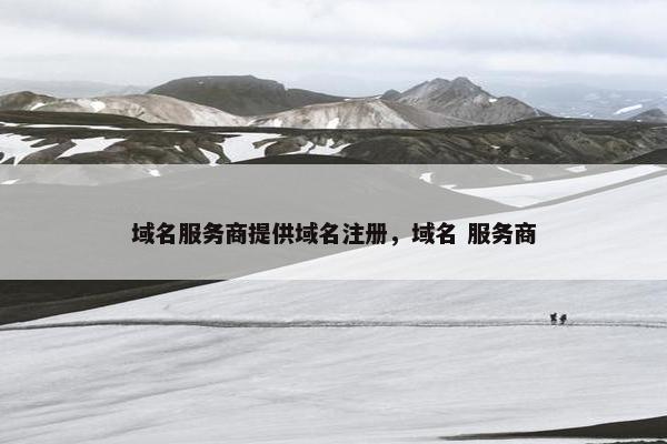 域名服务商提供域名注册，域名 服务商