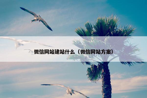 微信网站建站什么（微信网站方案）