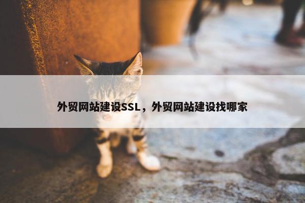 外贸网站建设SSL，外贸网站建设找哪家