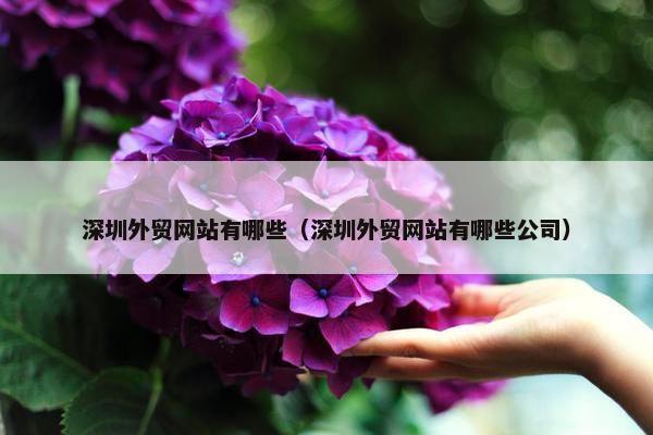 深圳外贸网站有哪些（深圳外贸网站有哪些公司）