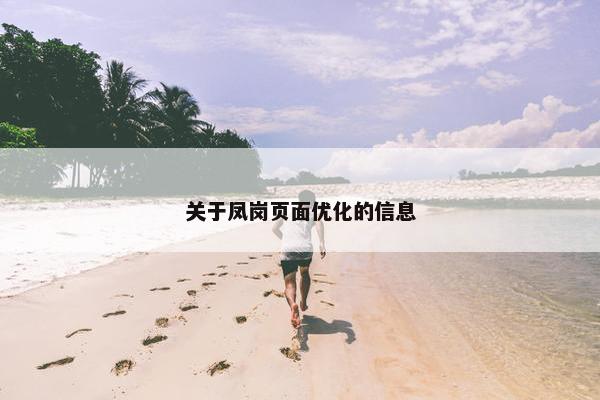 关于凤岗页面优化的信息