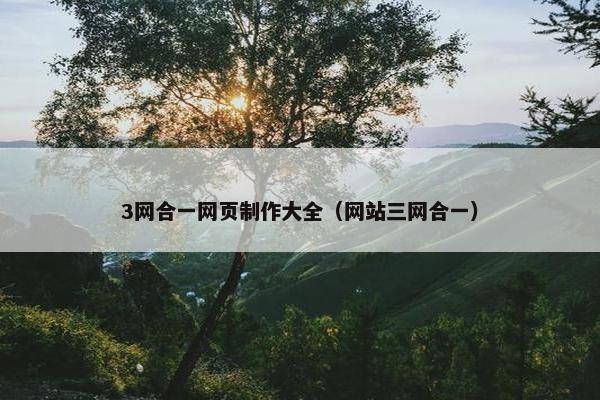 3网合一网页制作大全（网站三网合一）