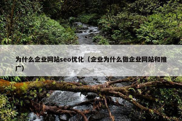 为什么企业网站seo优化（企业为什么做企业网站和推广）