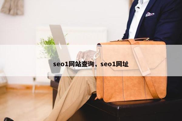 seo1网站查询，seo1网址