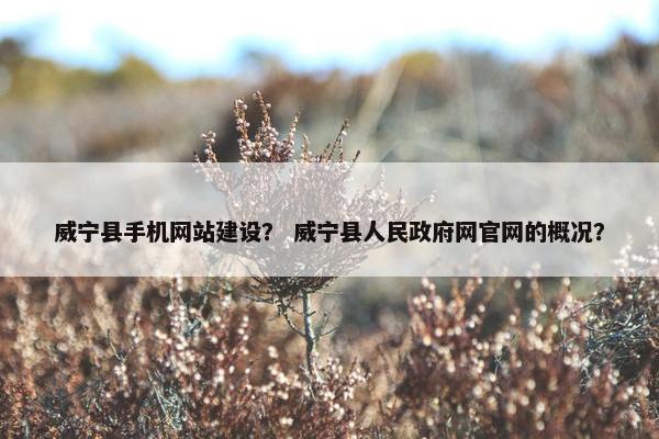 威宁县手机网站建设？ 威宁县人民政府网官网的概况？