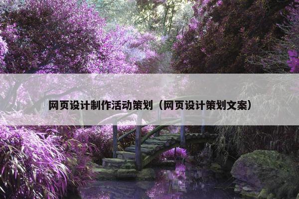 网页设计制作活动策划（网页设计策划文案）