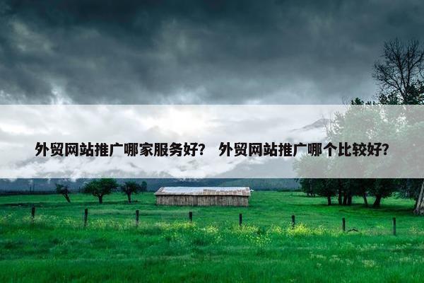 外贸网站推广哪家服务好？ 外贸网站推广哪个比较好？