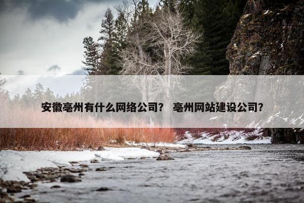 安徽亳州有什么网络公司？ 亳州网站建设公司？