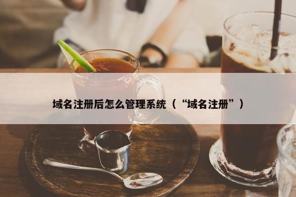 域名注册后怎么管理系统（“域名注册”）