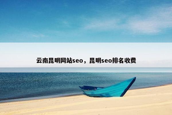 云南昆明网站seo，昆明seo排名收费