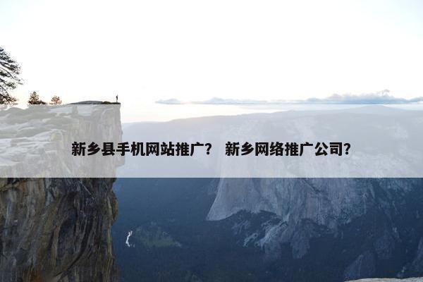 新乡县手机网站推广？ 新乡网络推广公司？