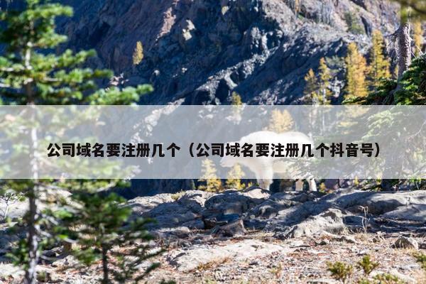 公司域名要注册几个（公司域名要注册几个抖音号）